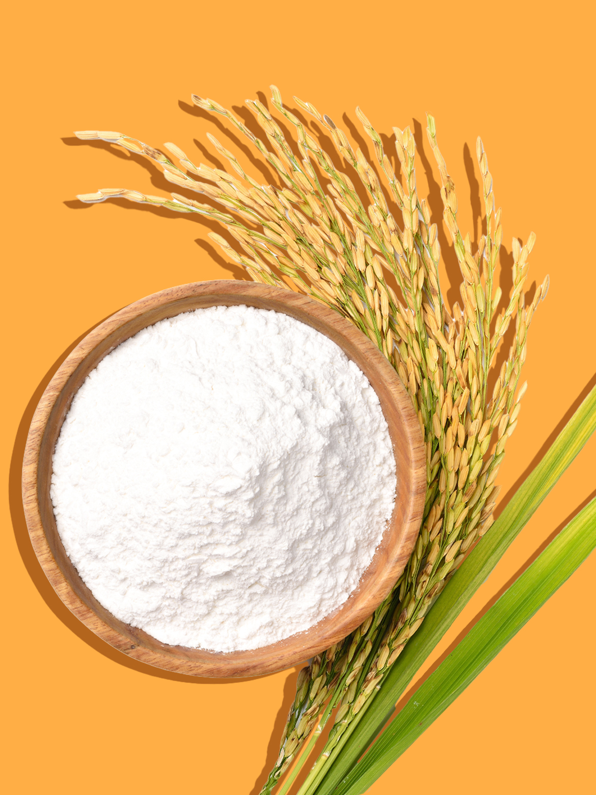 Rice Flour Face Packs For All Skin Issues SUGAR Cosmetics